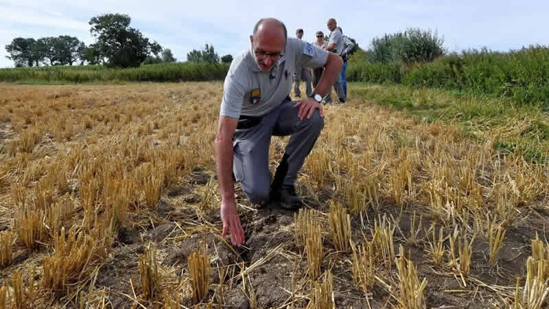 法国农业遭受旱灾